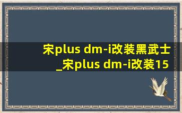 宋plus dm-i改装黑武士_宋plus dm-i改装15寸屏